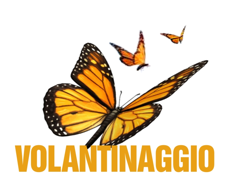 Volantinaggio